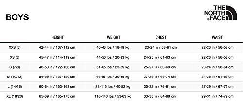 THE NORTH FACE Boy's Reversible Perrito Jacket (Little Kids/Big Kids) Clear Lake Blue XL (18-20 Big Kids)