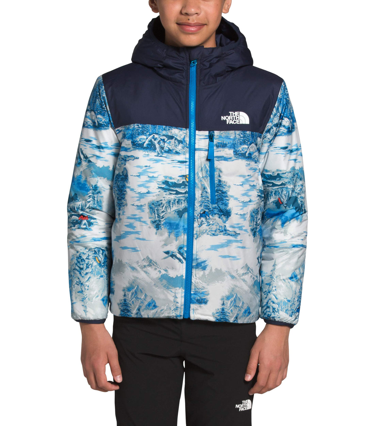 THE NORTH FACE Boy's Reversible Perrito Jacket (Little Kids/Big Kids) Clear Lake Blue XL (18-20 Big Kids)